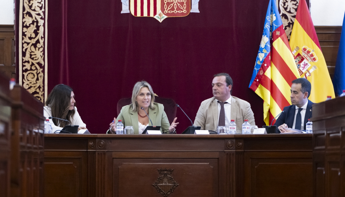 La presidenta de la Diputación, Marta Barrachina, durante el pleno.