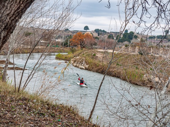 El corredor económico de la Vega del Segura: industria y agricultura crecen junto al río