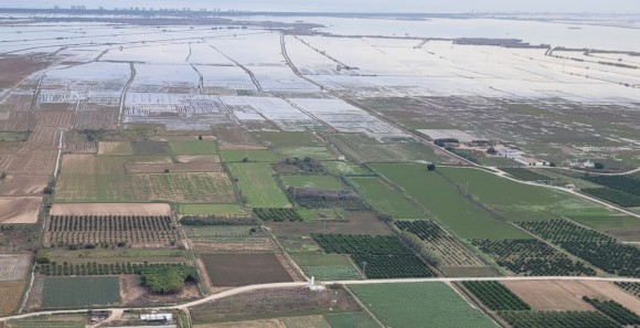 La Dana de 2024 disparó la contaminación fecal en l'Albufera, con efectos 6 meses después