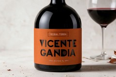 Bobal Terra, el nuevo tinto con el que Vicente Gandía se reinventa