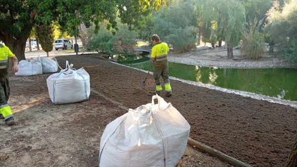 Murcia resiembra sus grandes jardines: de la Redonda al Malecón con más de cinco millones de semillas