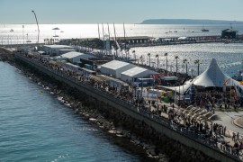 Ahora la música: el Consell licita los conciertos 'de prestigio' para la salida de la Ocean Race en Alicante 