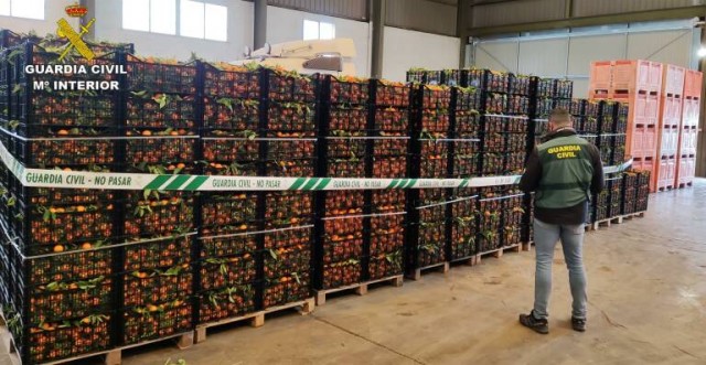 Detienen a dos hombres por robar 10 toneladas de naranjas en Onda y por receptación