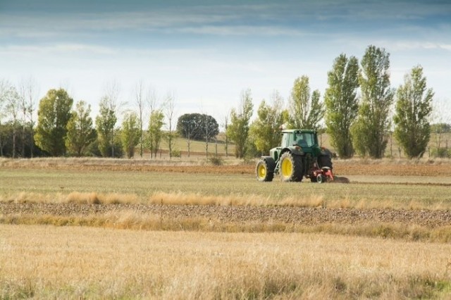 El Consell aprueba ayudas por dos millones de euros para explotaciones de cereal de secano de la Comunitat Valenciana