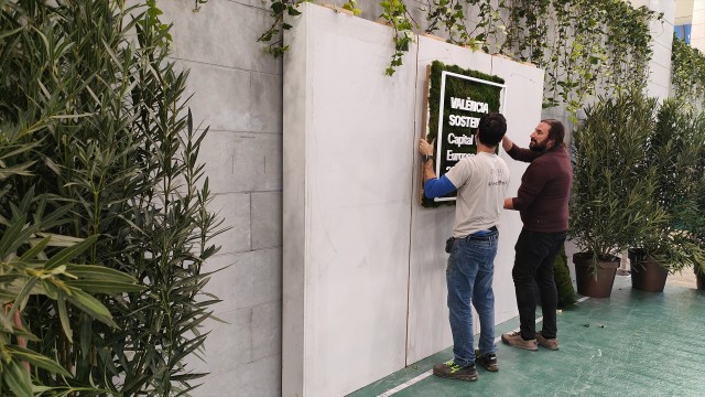Verde Valencia