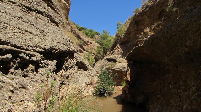 Ponen bajo la lupa la ZEC del río Chícamo para detectar amenazas y mejorar su gestión