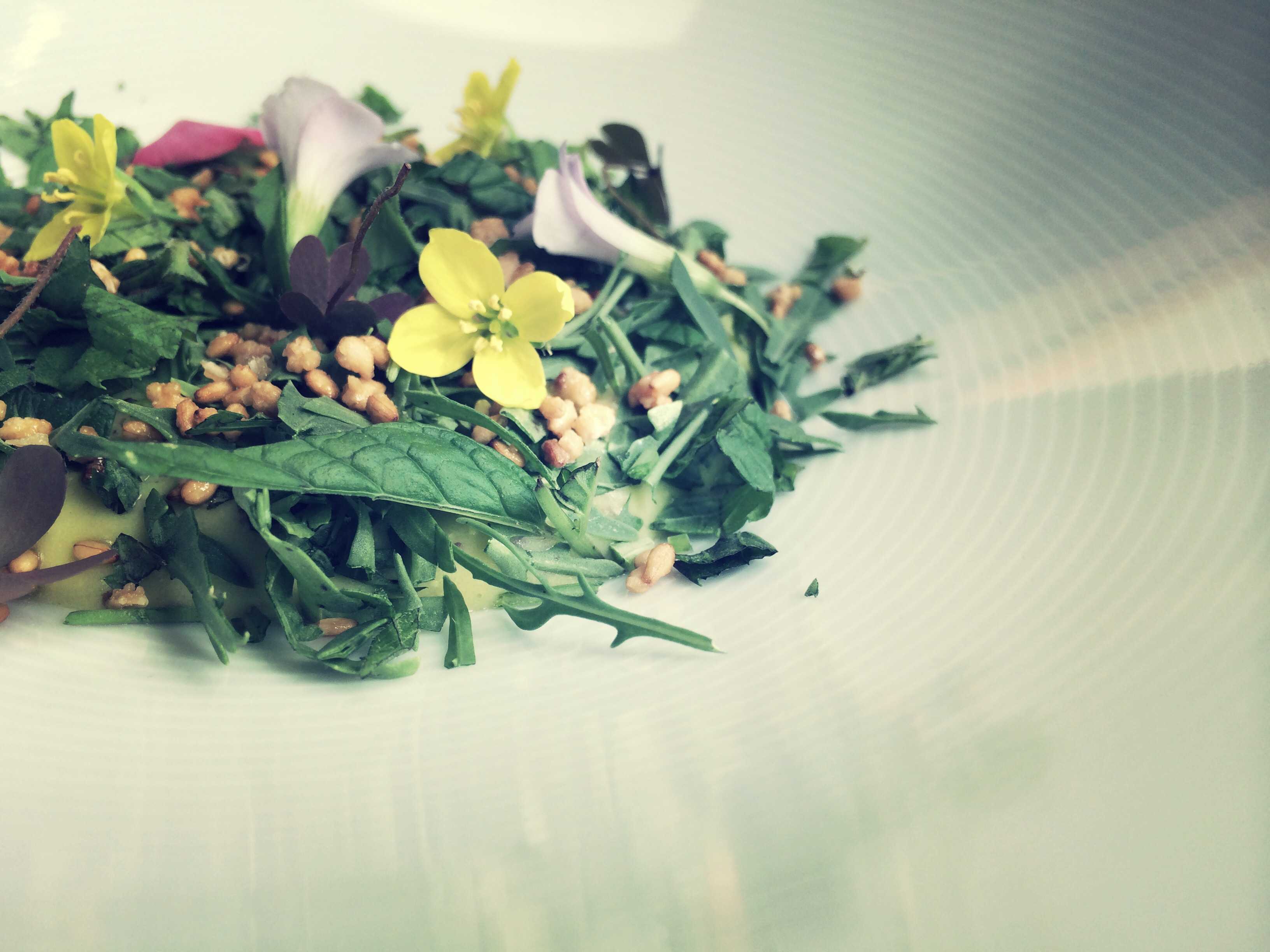 Comer palabras, imaginar platos