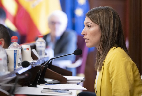 El PSPV de la Diputación afea a PP y Vox que rechacen la propuesta de programas de salud mental
