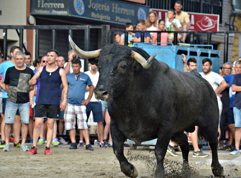 Los veterinarios destacan su acción 