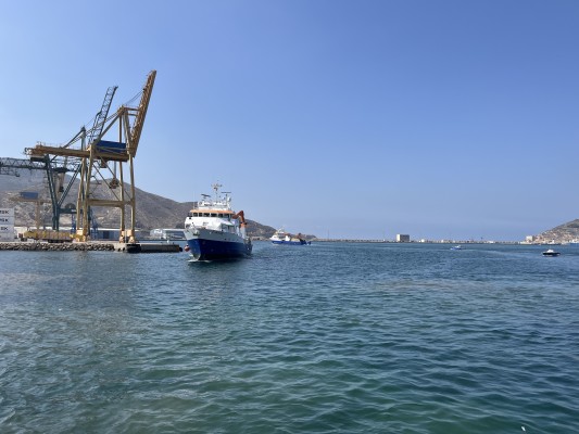 El Grupo Ricardo Fuentes completa diez días de pesca del atún rojo con cerca de 5.000 toneladas 

