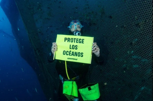 Greenpeace denuncia la situación de las macrogranjas marinas en Guardamar y El Campello 