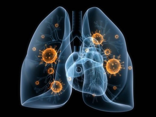 La AECC destina 18 millones de euros para investigar el cáncer de pulmón de células pequeñas y de hígado