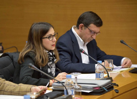 El PP pide al Consell copia de expedientes de menores y maltratadas de la Comunitat