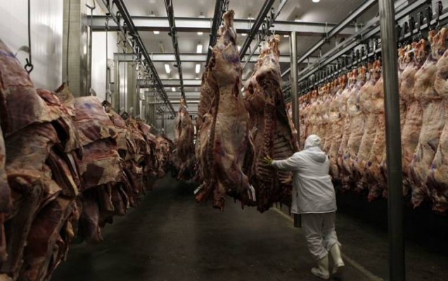 Unos 11.000 empleos en Barcelona, pendientes de la evolución del brote de peste porcina