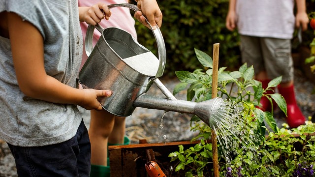 Proyecto para renaturalizar patios escolares, mejor iniciativa de educación sobre transición energética