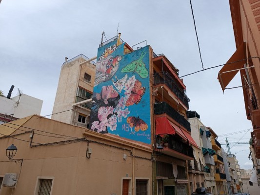 Sant Anton, poesia interrompuda