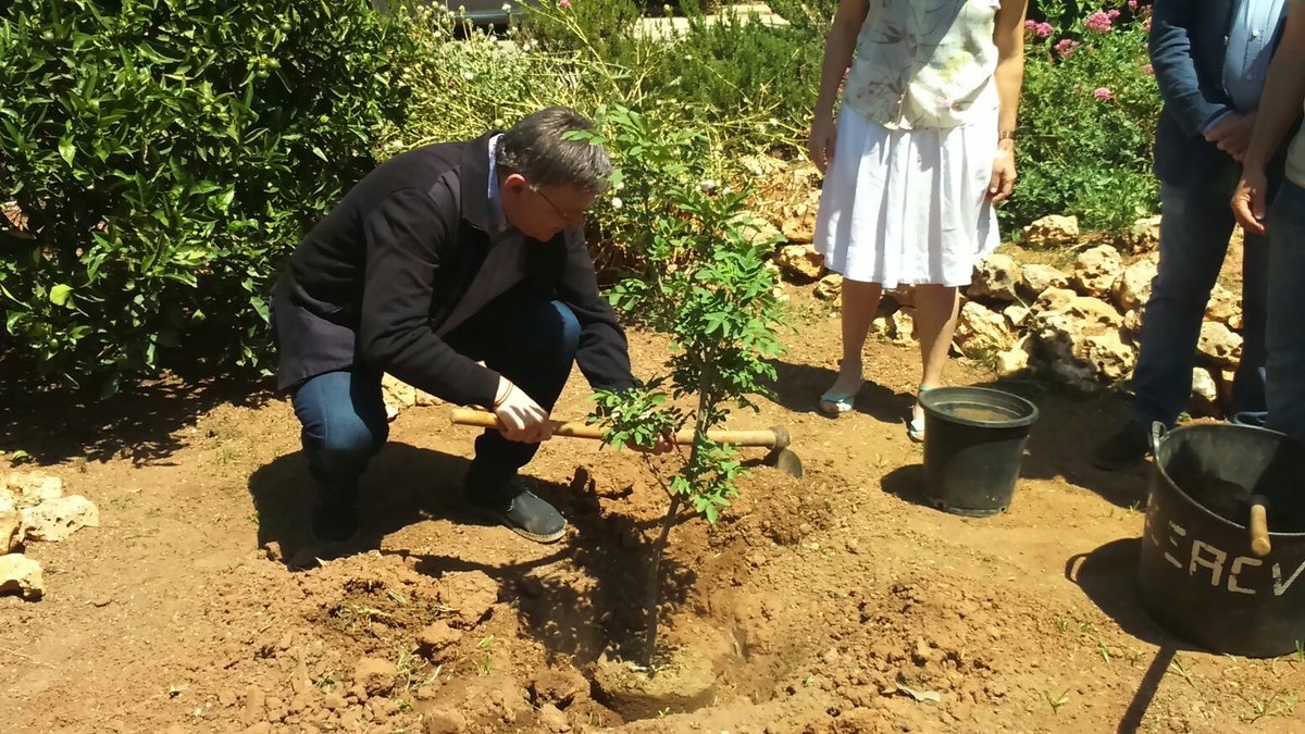 El president planta un árbol (Foto: Twitter) - 