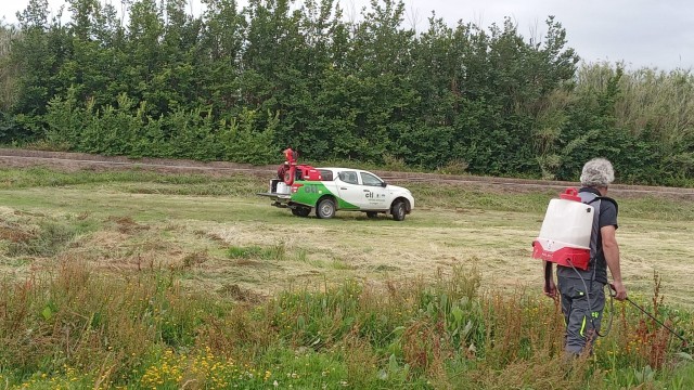 La Diputación de Castellón refuerza el tratamiento de mosquitos en el litoral tras las últimas lluvias