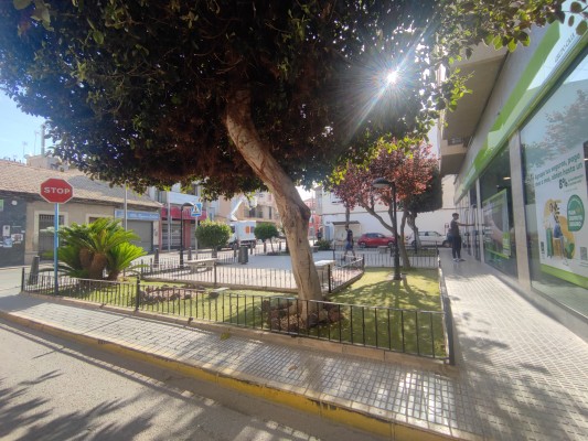 Rojales homenajea al exalcalde Antonio Martínez: rotulará una plaza con su nombre