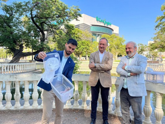 Sistema pionero de Castelló contra el mosquito tigre: suelta 2.000 machos estériles en Ribalta