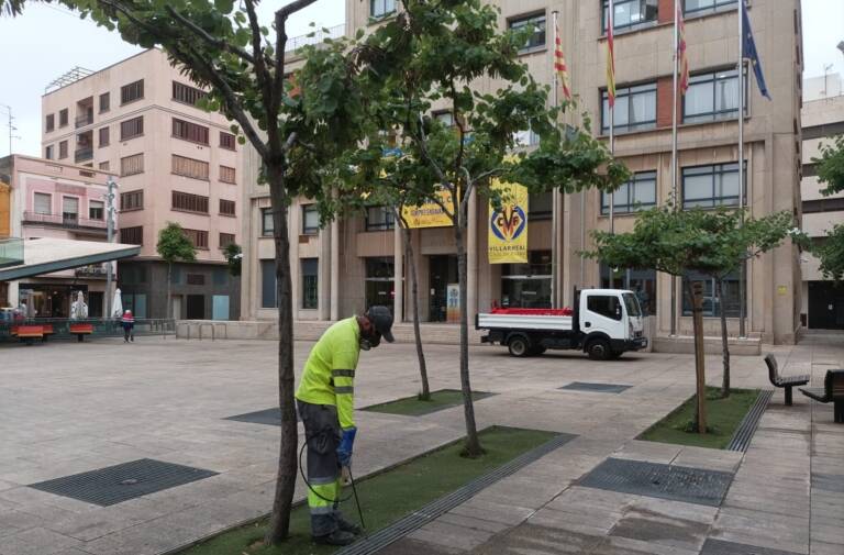 Vila-real intensifica els tractaments per a previndre els focus de mosquits durant l'estiu