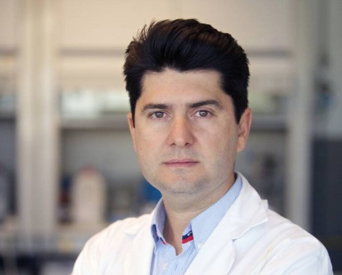 El catedrático de la UA Javier García Martínez, finalista para el Avance Científico del Año