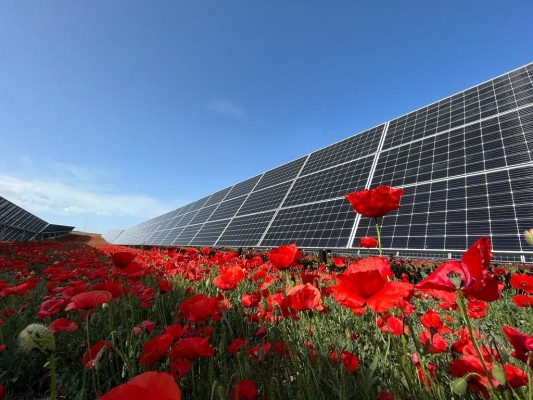 Solaria brilla en el Ibex y se dispara casi un 10% ante los rumores de un posible interés de compra
