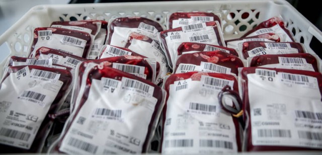 El Centro de Transfusión ultima una 'app' y un portal web para los donantes de sangre
