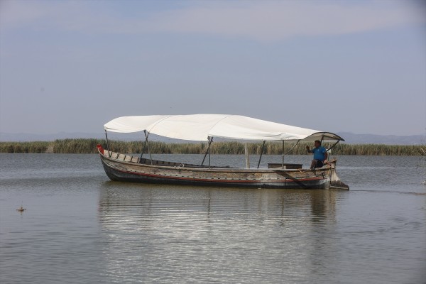 València pide al Gobierno un compromiso firme que blinde los niveles de agua en l'Albufera

