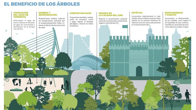 Los más de 400.000 árboles de València conforman un bosque urbano con un valor superior a 400 millones