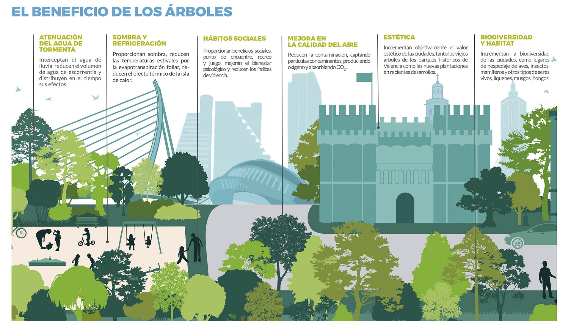 Los más de 400.000 árboles de València conforman un bosque urbano con un valor superior a 400 millones