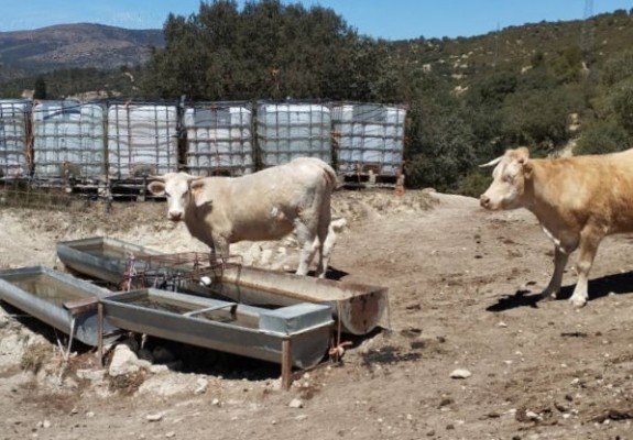 Els Ports dona l'alerta: 17 pobles demanen ajuda per la sequera... i en estiu necessitaran més aigua