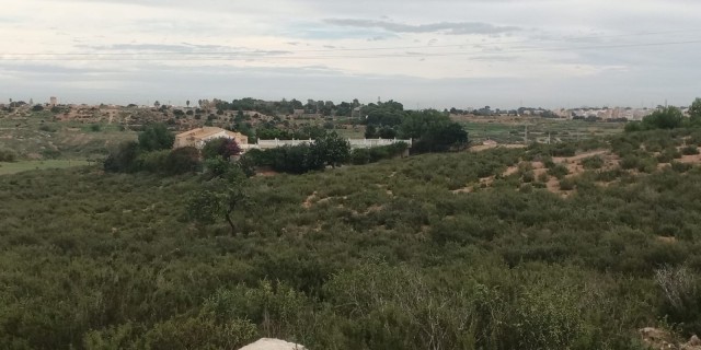 El yacimiento arqueológico de Rambla de Peñas Blancas del Ladrillar llega a su último escalón para ser bien catalogado por su relevancia cultural 