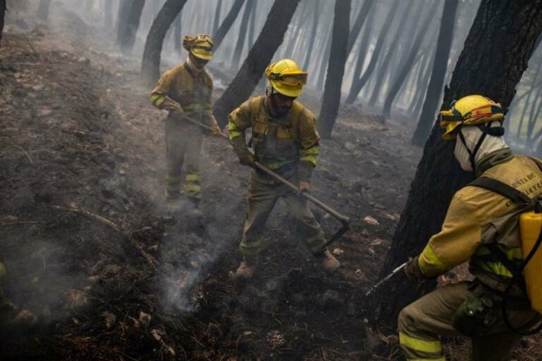 Más de 1.200 efectivos integrarán la prevención y extinción de incendios forestales este verano