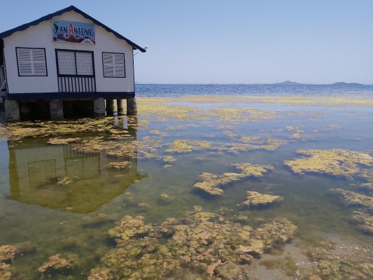 Ecologistas en Acción otorga dos banderas negras a Portmán y el Mar Menor  