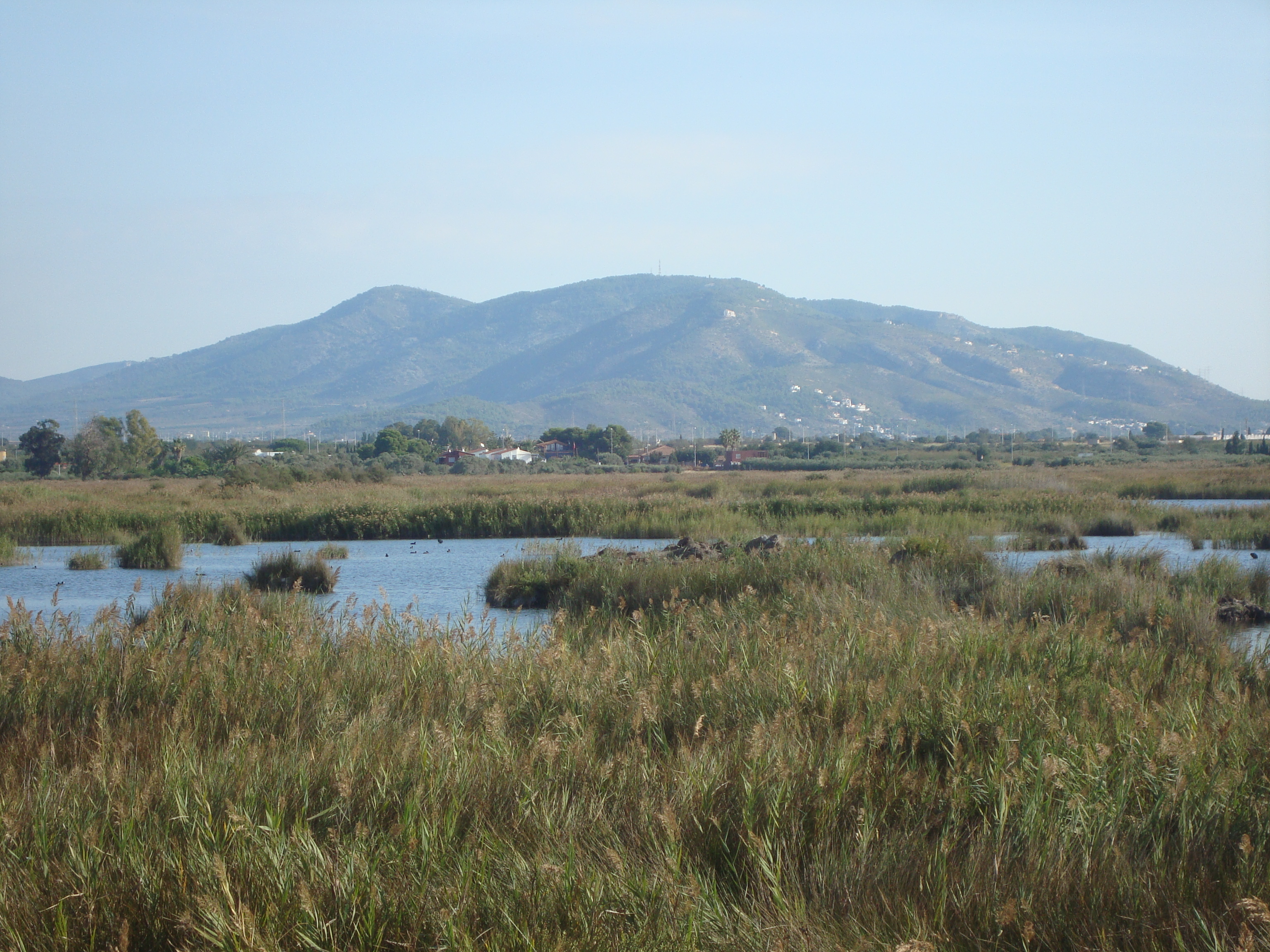 Parque Natural del Prat de Cabanes-Torreblanca. Imagen de archivo - 