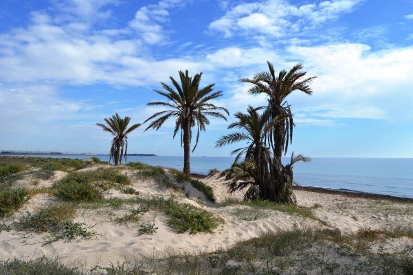 San Pedro alza la voz contra el Gobierno de España mientras sigue menguando la playa de La Llana