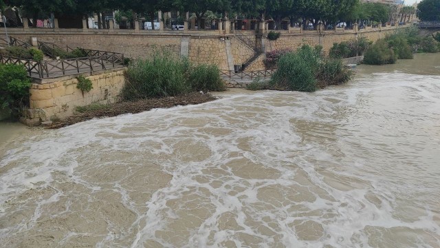 Denuncian ante el Seprona un nuevo episodio de espuma blanca en el Segura en Murcia