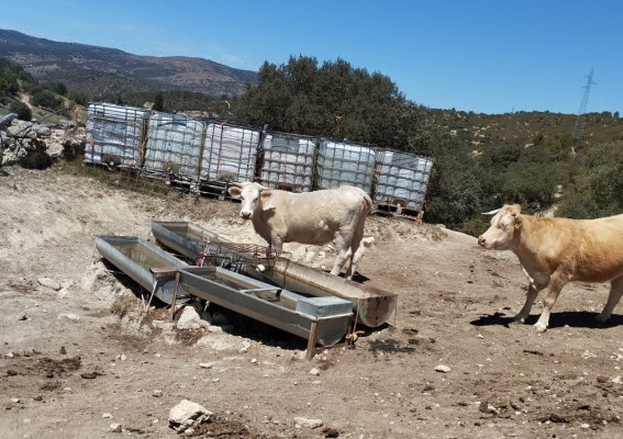AVA-Asaja urge ayudas para detener el 