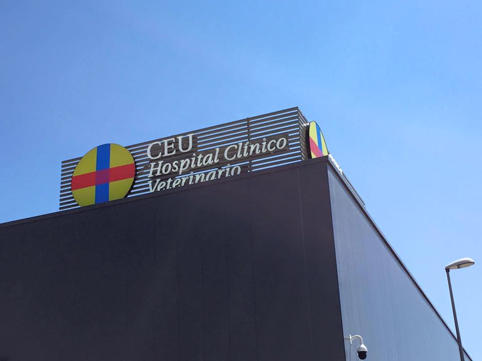 El nuevo hospital veterinario del CEU multiplica por cinco su superficie para ser 