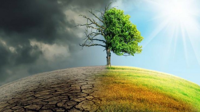 Ecocidio, ¿un nuevo crimen contra la humanidad? 