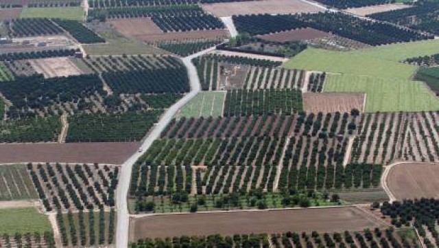 La Mancomunidad del Alto Turia abre en Chelva el primer encuentro de innovación urbano-rural 