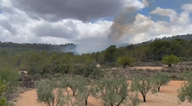 Estabilizado el incendio forestal declarado este domingo cerca de la CV-245 en Llíria
