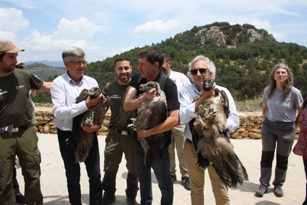 Sueltan tres crías de quebrantahuesos en el Parque Natural de la Tinença de Benifassà