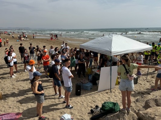 Más de 200 personas limpian la playa de la Malva-rosa para proteger a las tortugas