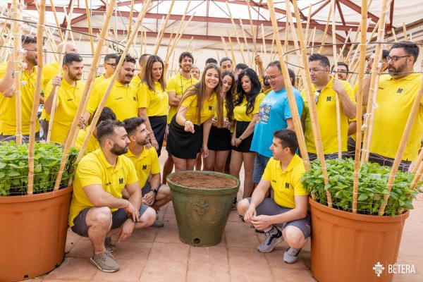 Bétera planta sus Alfàbegues y prepara la tradicional 'Rodà' de estas 
