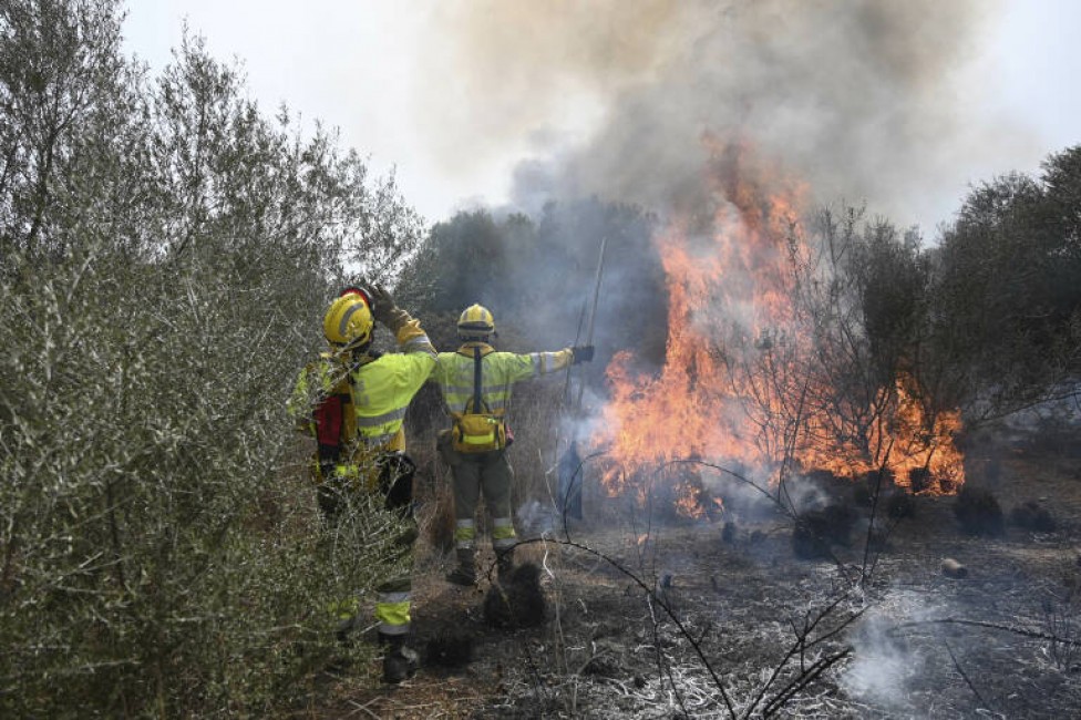 El incendio de este viernes en Castelló. Foto: Carlos Pascual - 