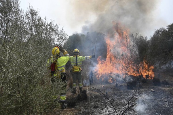 Controlado un incendio forestal en Alcalà de Xivert y extinguido el de la Quadra Borriolench de Castelló