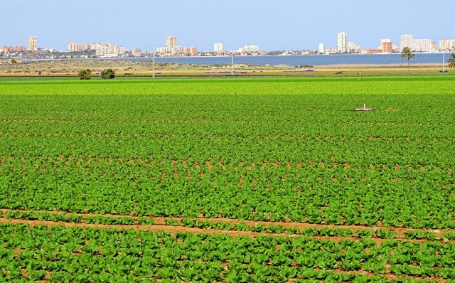 'Agrofuturo 2024' muestra a jóvenes agricultores de la Región la biotecnología que hará posible el relevo generacional
