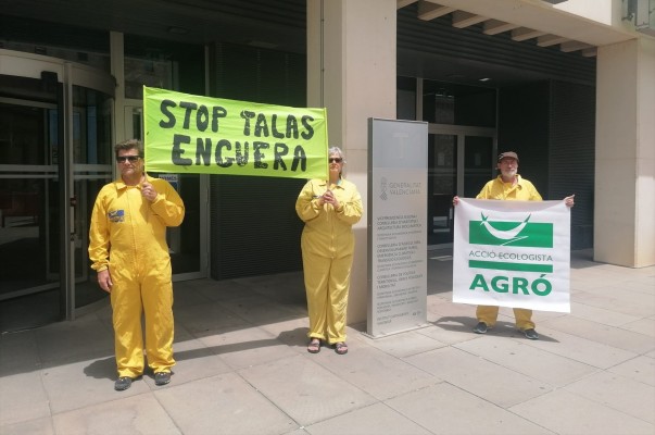 Activistas protestan ante la Conselleria de Medio Ambiente contra las talas en bosques de Enguera